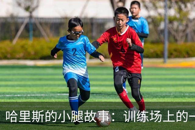 哈里斯的小腿故事：训练场上的一场小意外