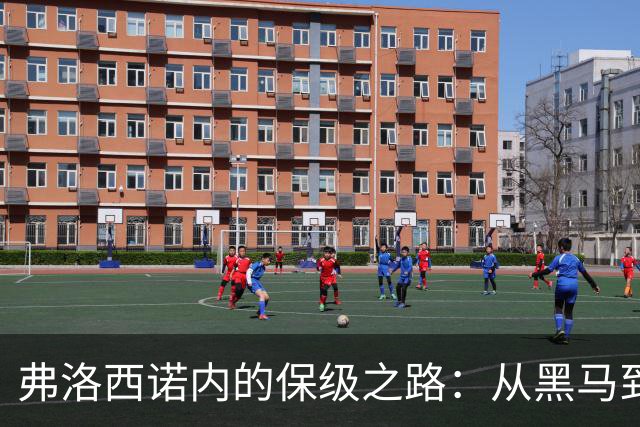 弗洛西诺内的保级之路：从黑马到稳马的幽默旅程