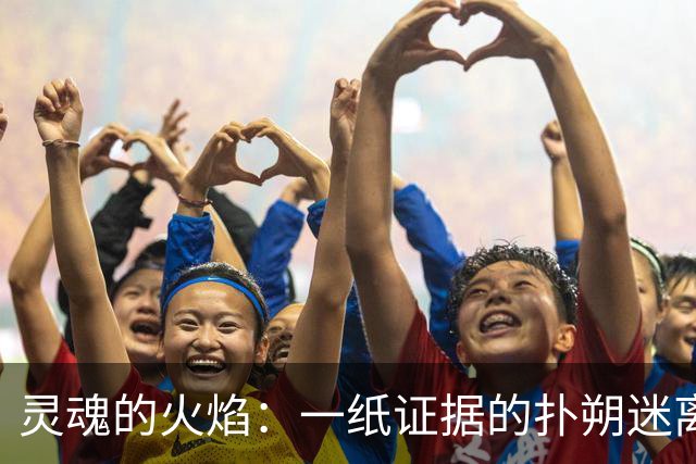灵魂的火焰：一纸证据的扑朔迷离