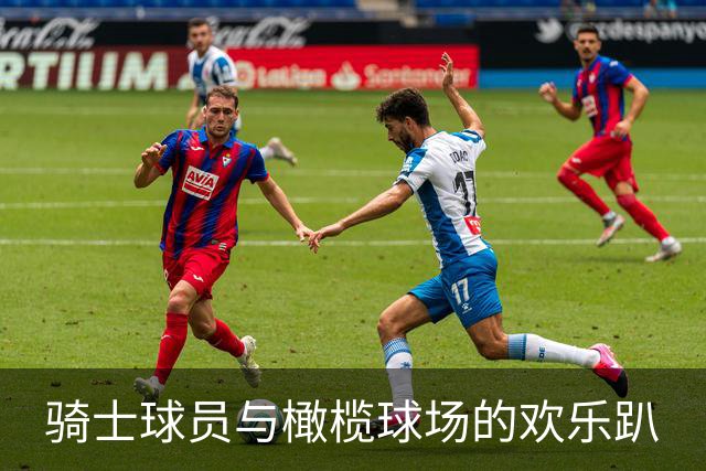 骑士球员与橄榄球场的欢乐趴