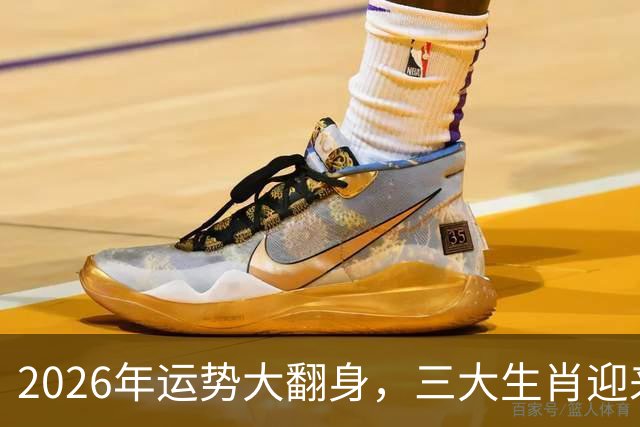 2026年运势大翻身，三大生肖迎来轻松发财季！